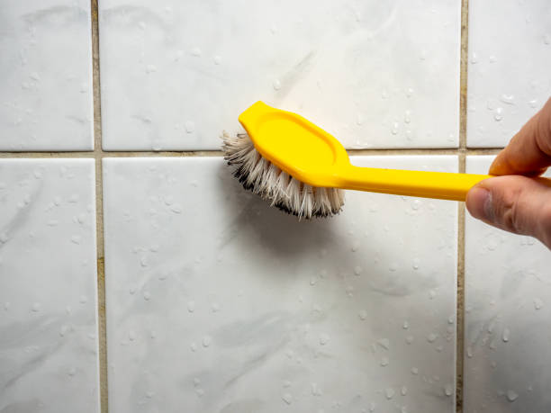 Best Mold Removal Near Me  in Jenkintown, PA